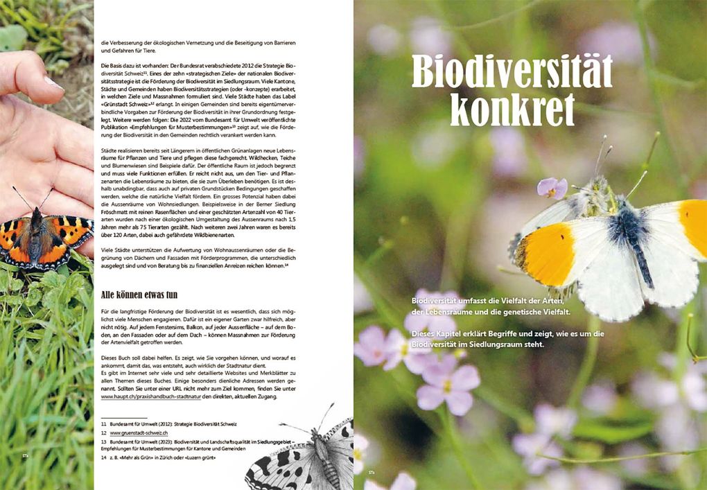 Weitere Ansicht: Praxishandbuch Stadtnatur | Sabine Tschäppeler, Andrea Haslinger