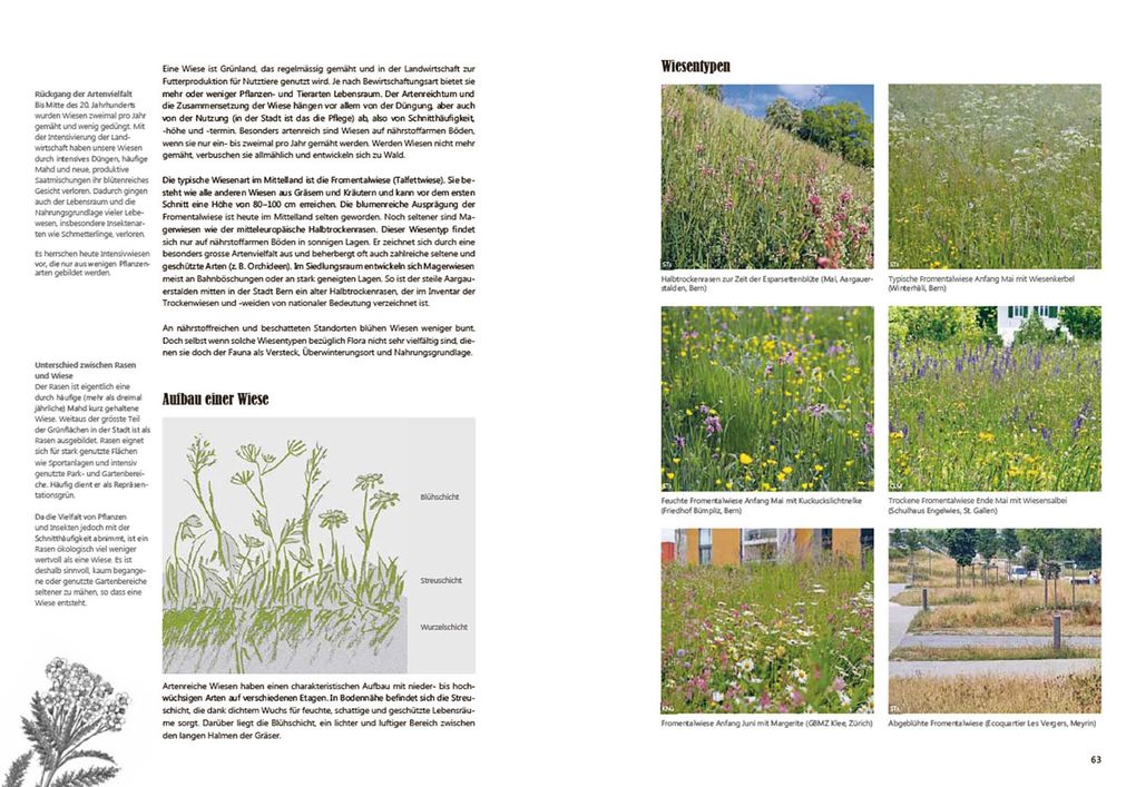 Weitere Ansicht: Praxishandbuch Stadtnatur | Sabine Tschäppeler, Andrea Haslinger