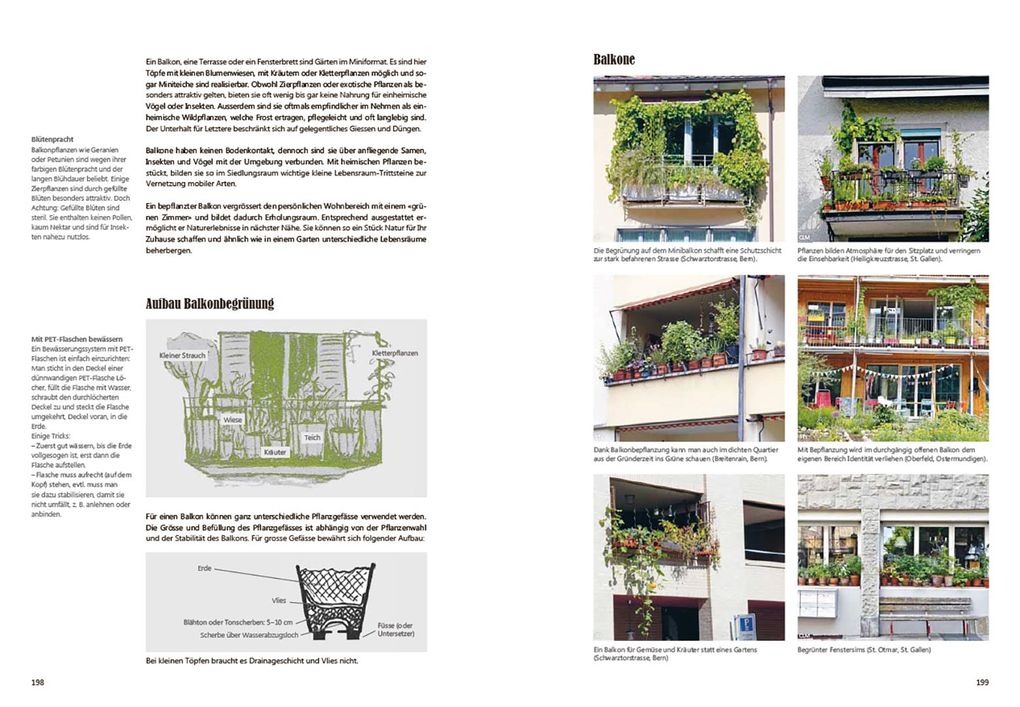 Weitere Ansicht: Praxishandbuch Stadtnatur | Sabine Tschäppeler, Andrea Haslinger