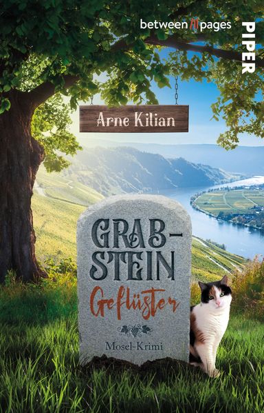 Produktbild: Grabsteingeflüster | Arne Kilian