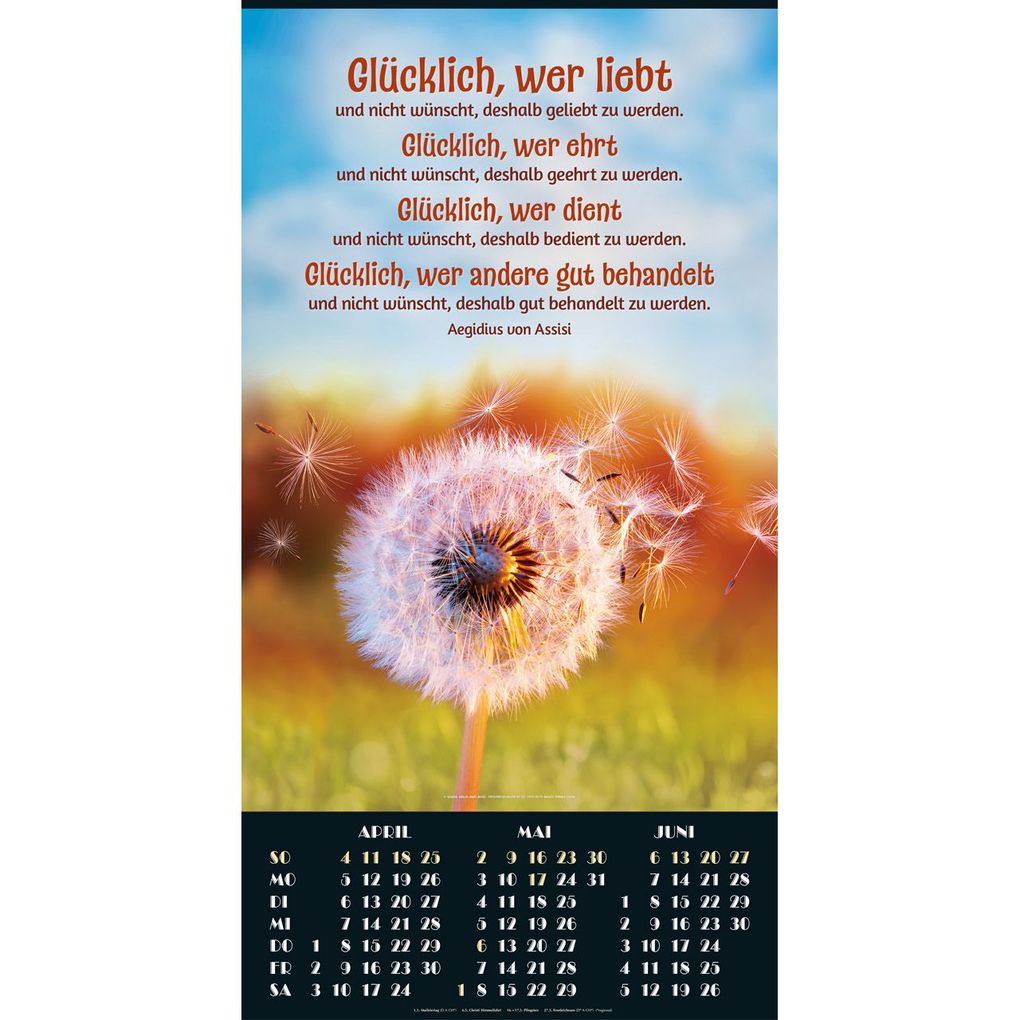Weitere Ansicht: Foto-Poster-Kalender 2027 - gerollt