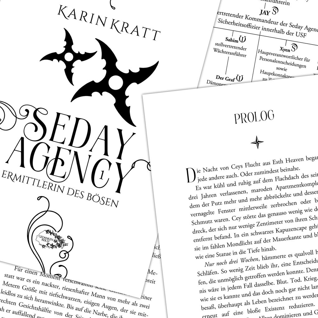 Weitere Ansicht: Seday Agency 1: Ermittlerin des Bösen (Seday Academy 11) | Karin Kratt