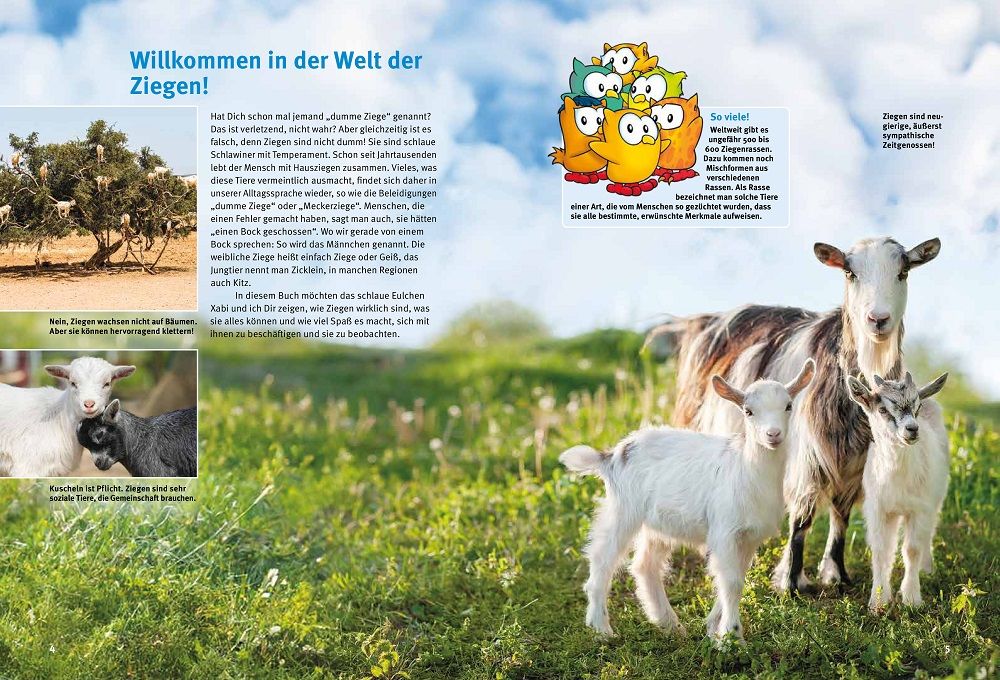 Weitere Ansicht: Entdecke die Ziegen | Maria Anna Leenen