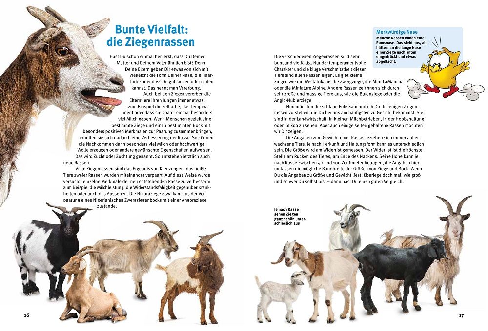 Weitere Ansicht: Entdecke die Ziegen | Maria Anna Leenen