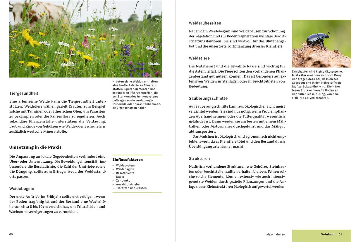 Weitere Ansicht: Praxishandbuch Biodiversität in der Landwirtschaft