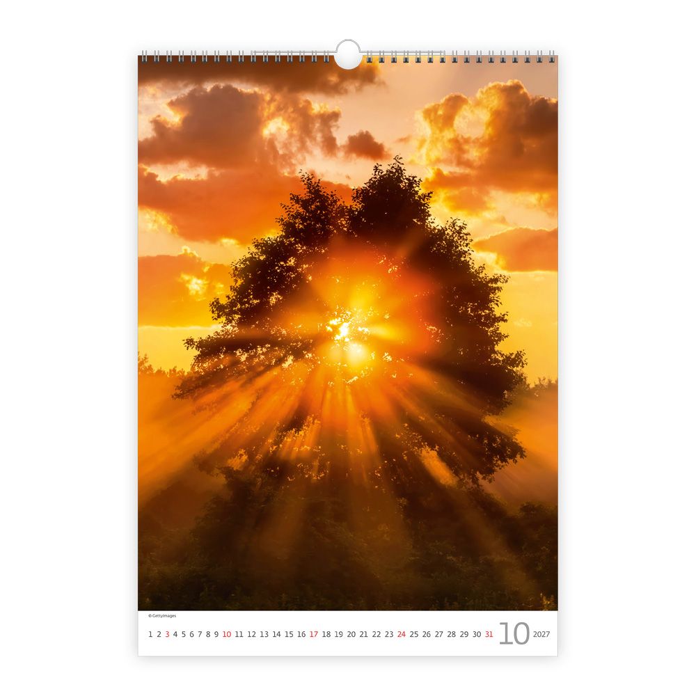 Weitere Ansicht: TRÖTSCH - Wandkalender Trees 2027