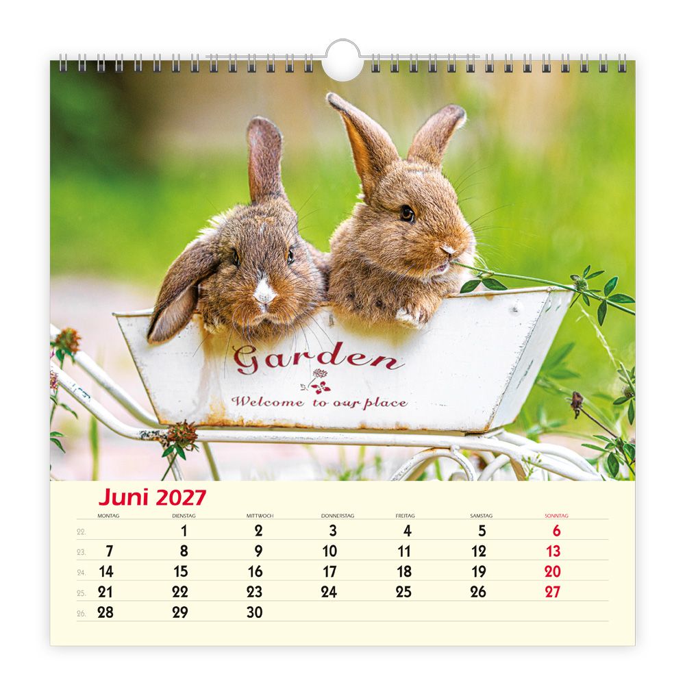 Weitere Ansicht: TRÖTSCH - Wandkalender Freunde 2027