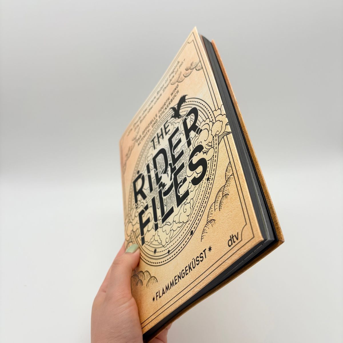 Weitere Ansicht: Fourth Wing: The Rider Files - Das offizielle Activity- und Stickerbuch