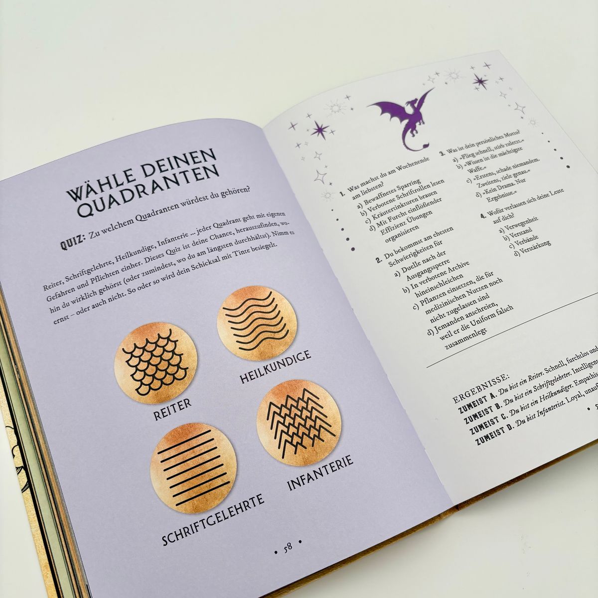 Weitere Ansicht: Fourth Wing: The Rider Files - Das offizielle Activity- und Stickerbuch