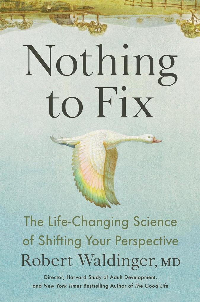 Produktbild: Nothing to Fix | Robert Waldinger