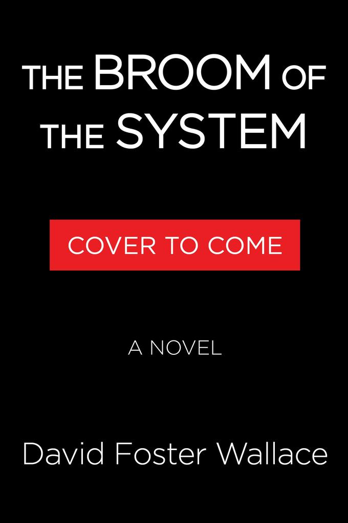 Produktbild: The Broom of the System | David Foster Wallace
