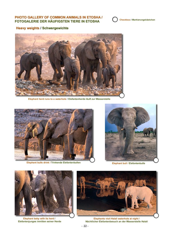 Weitere Ansicht: ETOSHA KARTE mit Fotogalerie