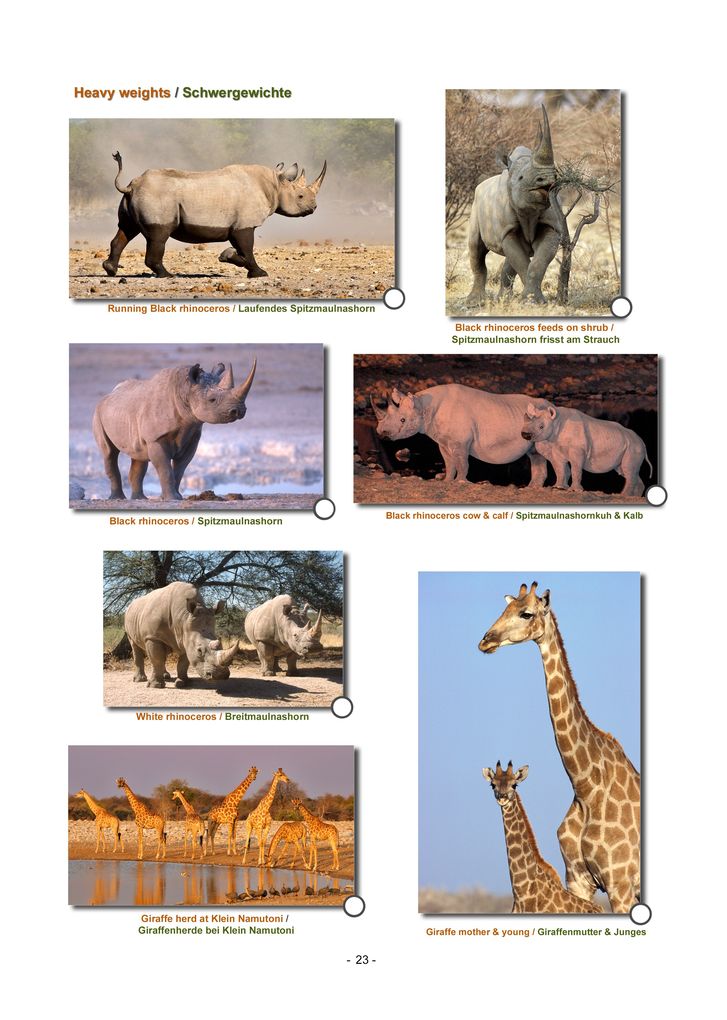 Weitere Ansicht: ETOSHA KARTE mit Fotogalerie
