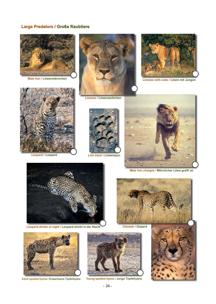 Weitere Ansicht: ETOSHA KARTE mit Fotogalerie