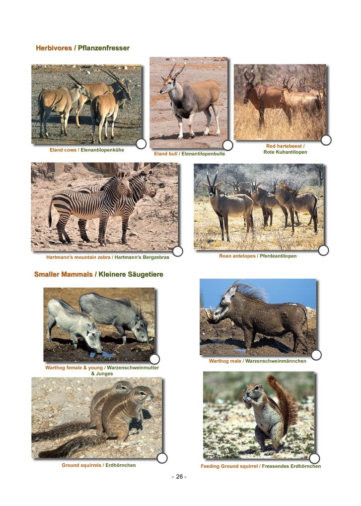 Weitere Ansicht: ETOSHA KARTE mit Fotogalerie