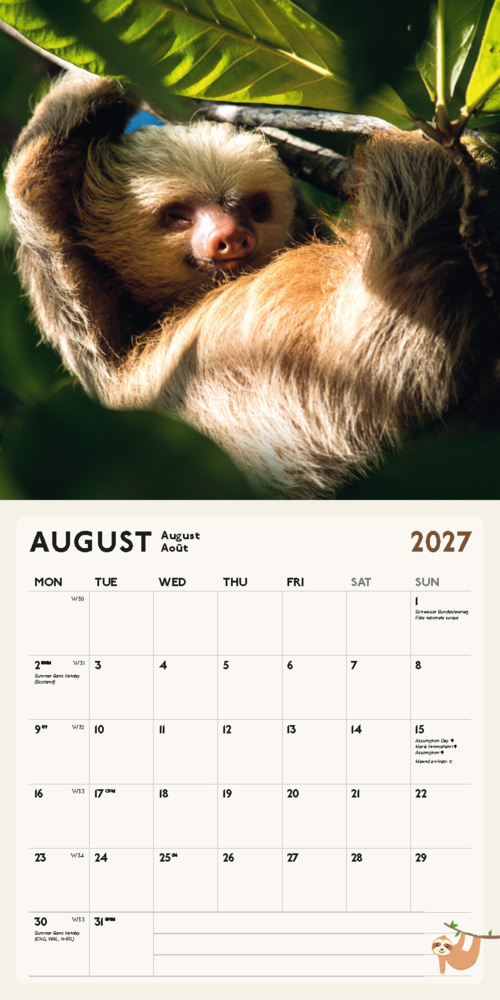 Weitere Ansicht: Faultier Kalender 2027 | Blaustein