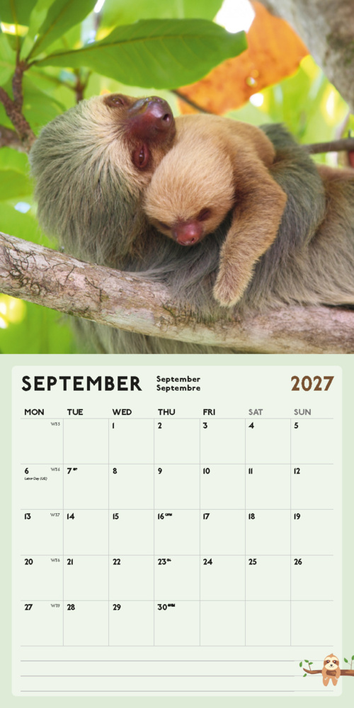 Weitere Ansicht: Faultier Kalender 2027 | Blaustein