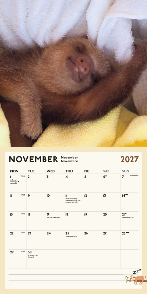 Weitere Ansicht: Faultier Kalender 2027 | Blaustein