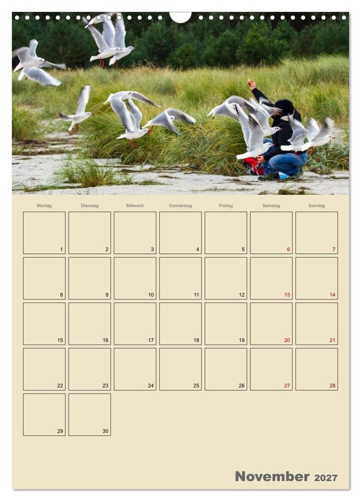 Weitere Ansicht: Ostseebad Prerow - Ein Darßer Moment - Terminplaner (Wandkalender 2027 DIN A3 hoch), CALVENDO Monatskalender | Lisa Xilef, Calvendo
