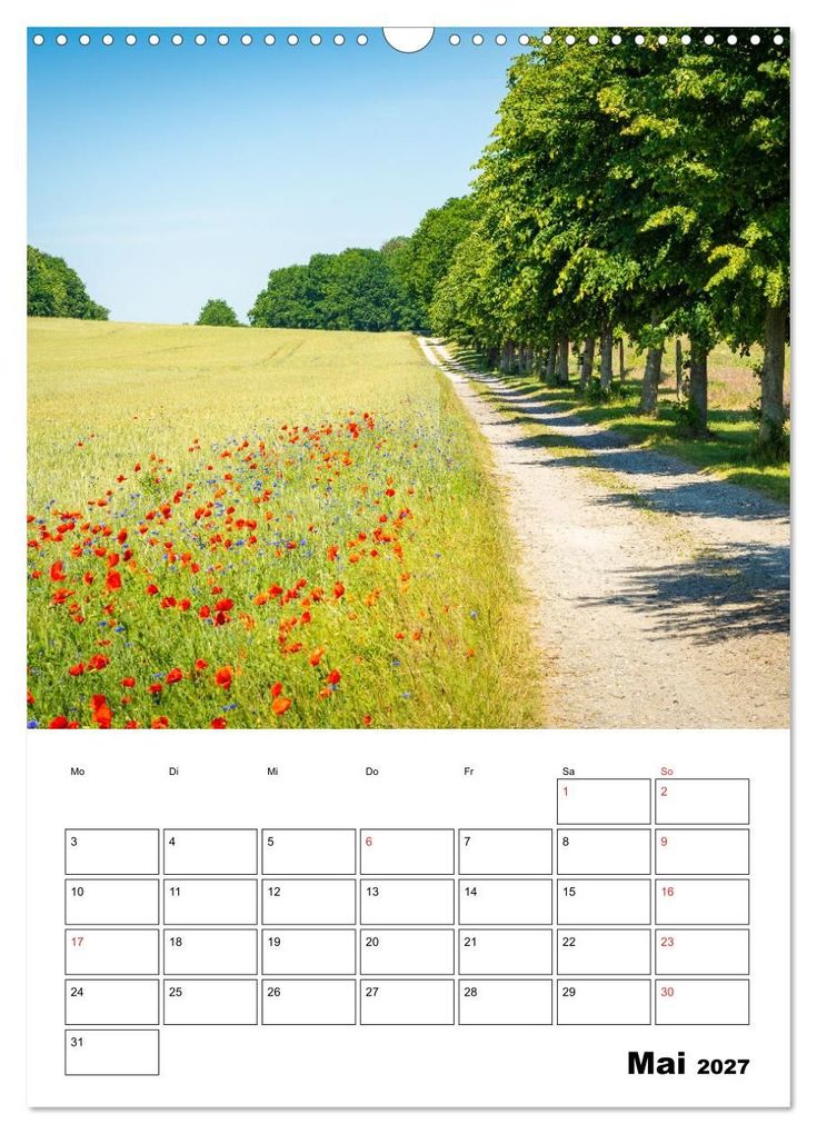 Weitere Ansicht: Usedom - Inseltraum im Norden (Wandkalender 2027 DIN A3 hoch), CALVENDO Monatskalender | Martin Wasilewski, Calvendo