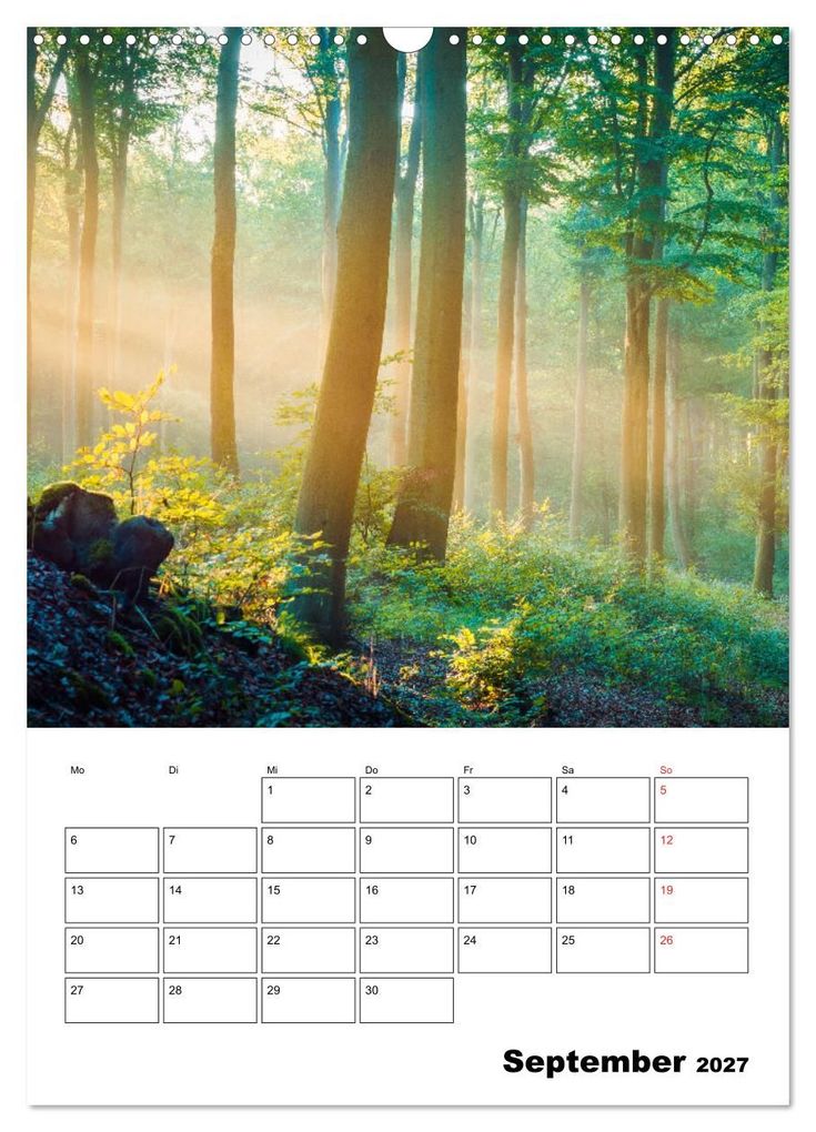 Weitere Ansicht: Usedom - Inseltraum im Norden (Wandkalender 2027 DIN A3 hoch), CALVENDO Monatskalender | Martin Wasilewski, Calvendo