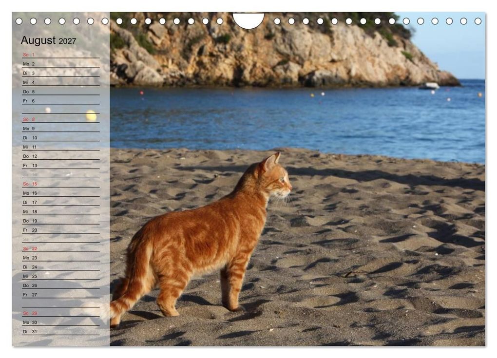 Weitere Ansicht: Zauberhaftes Ibiza - Terminplaner (Wandkalender 2027 DIN A4 quer), CALVENDO Monatskalender | Antje Lindert-Rottke, Calvendo