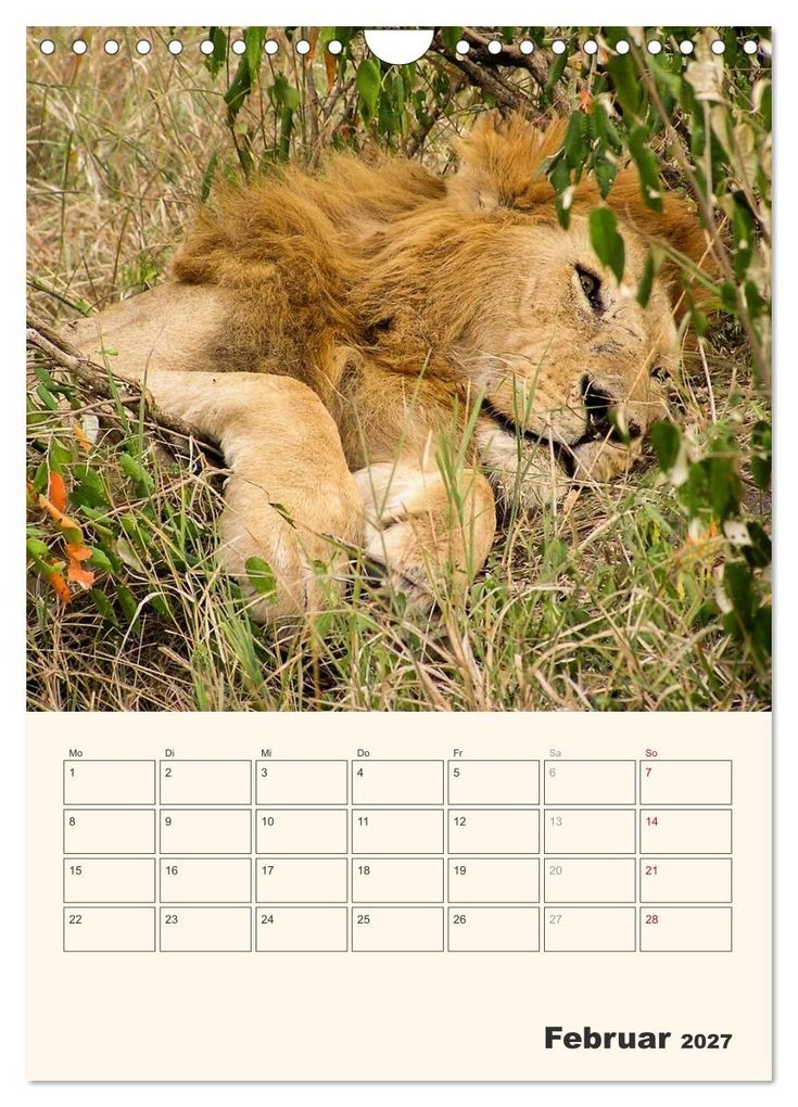 Weitere Ansicht: Kenia - Terminplaner (Wandkalender 2027 DIN A4 hoch), CALVENDO Monatskalender | Sabine Bieg, Calvendo