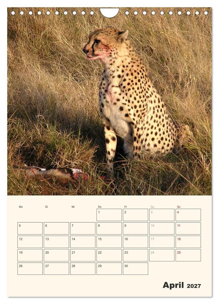 Weitere Ansicht: Kenia - Terminplaner (Wandkalender 2027 DIN A4 hoch), CALVENDO Monatskalender | Sabine Bieg, Calvendo