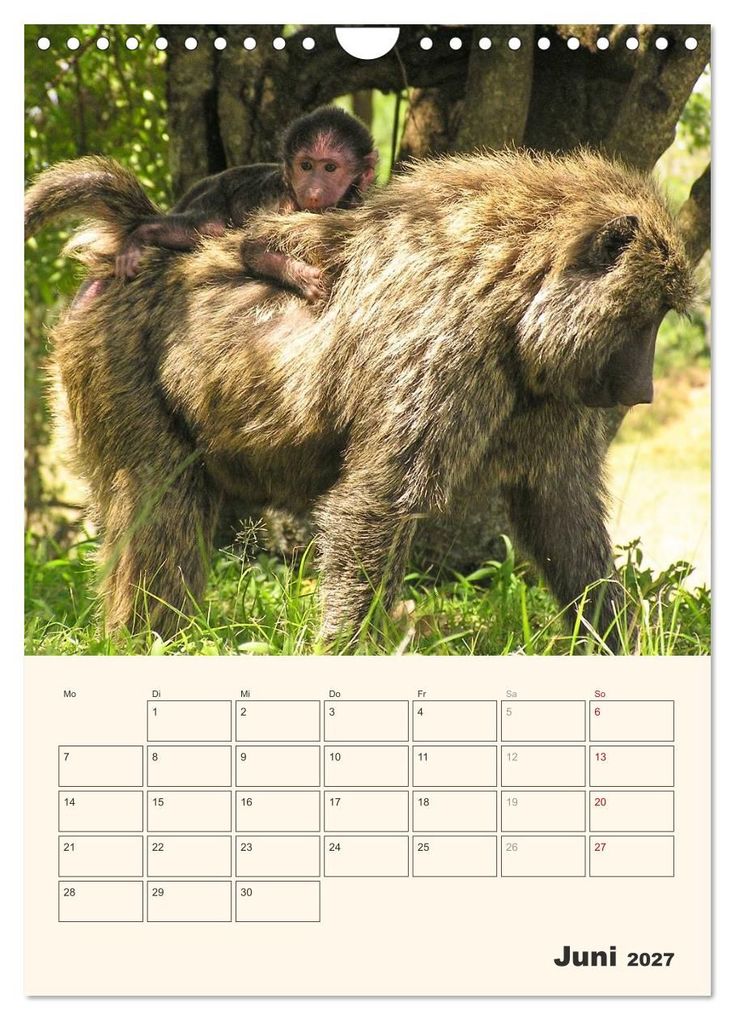 Weitere Ansicht: Kenia - Terminplaner (Wandkalender 2027 DIN A4 hoch), CALVENDO Monatskalender | Sabine Bieg, Calvendo