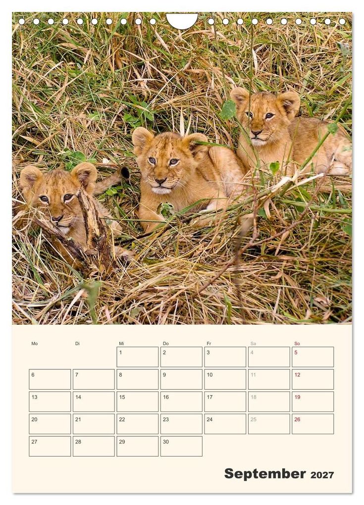 Weitere Ansicht: Kenia - Terminplaner (Wandkalender 2027 DIN A4 hoch), CALVENDO Monatskalender | Sabine Bieg, Calvendo