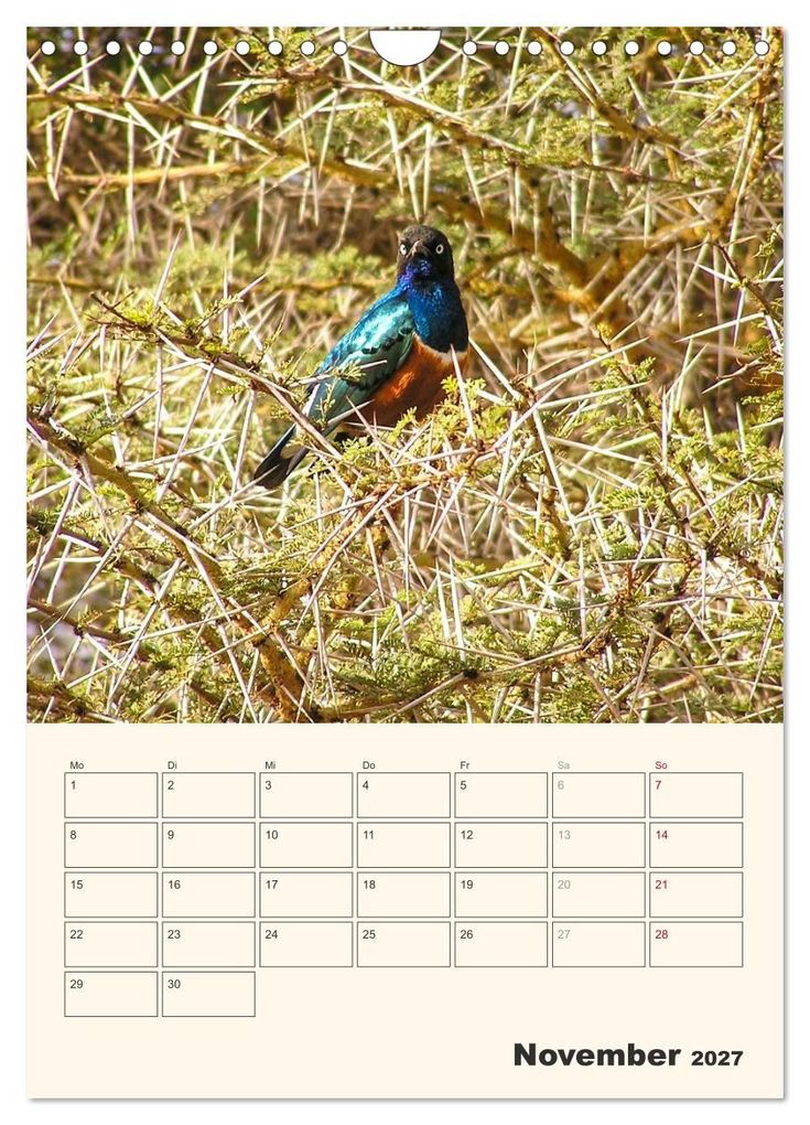 Weitere Ansicht: Kenia - Terminplaner (Wandkalender 2027 DIN A4 hoch), CALVENDO Monatskalender | Sabine Bieg, Calvendo