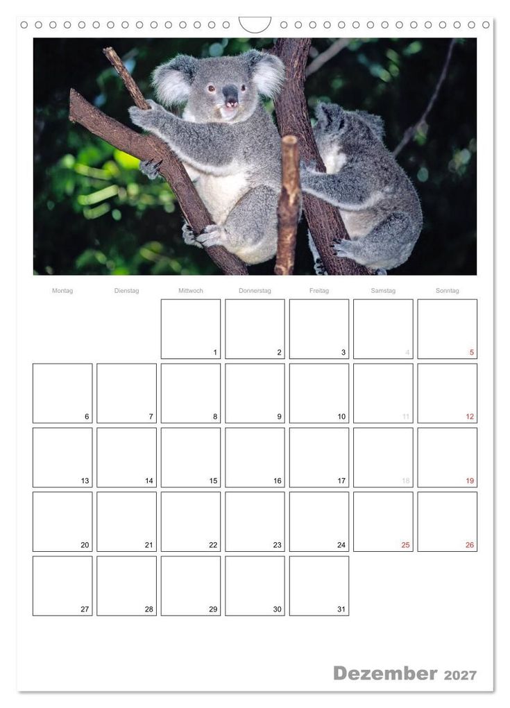 Weitere Ansicht: Australien - Terminplaner (Wandkalender 2027 DIN A3 hoch), CALVENDO Monatskalender | Rainer Grosskopf, Calvendo