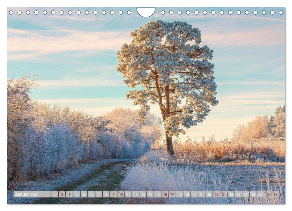 Weitere Ansicht: Vogtland in all seiner Vielfalt (Wandkalender 2027 DIN A4 quer), CALVENDO Monatskalender | Ulrich Männel, Calvendo