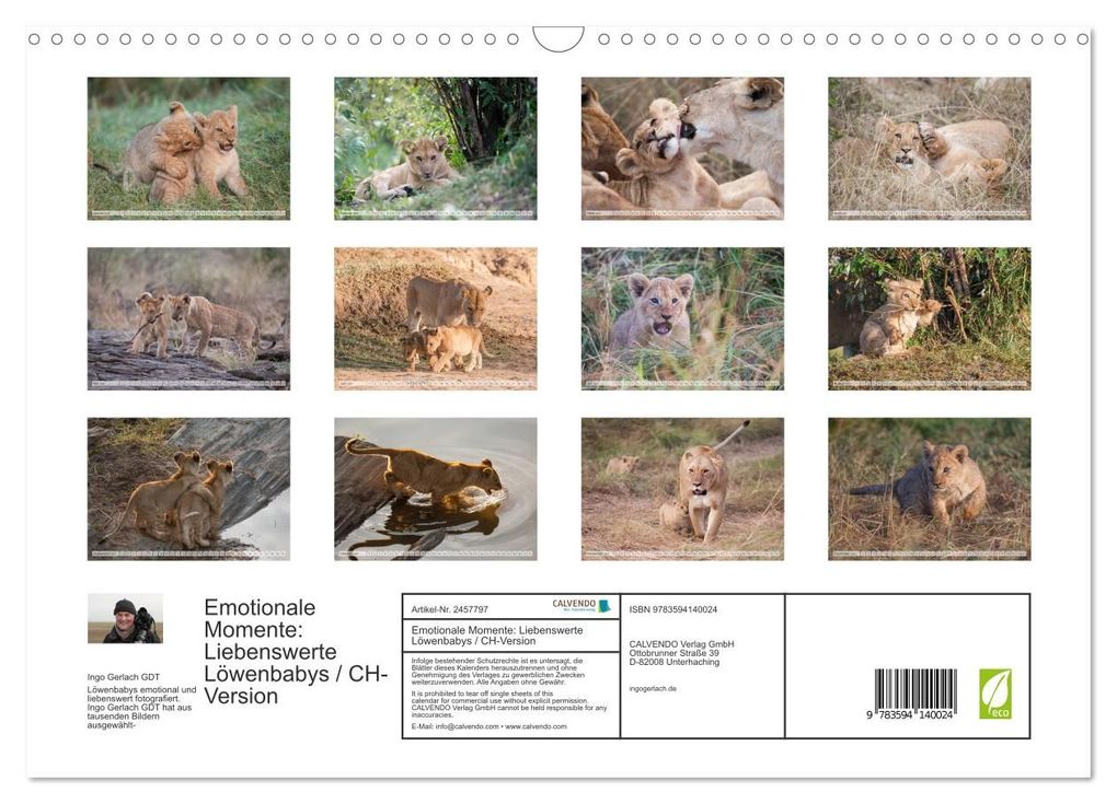 Weitere Ansicht: Emotionale Momente: Liebenswerte Löwenbabys / CH-Version (Wandkalender 2027 DIN A3 quer), CALVENDO Monatskalender | Ingo Gerlach GDT, Calvendo