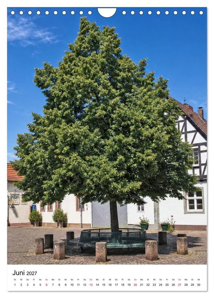 Weitere Ansicht: Weinstadt Hochheim am Main (Wandkalender 2027 DIN A4 hoch), CALVENDO Monatskalender | Petrus Bodenstaff, Calvendo