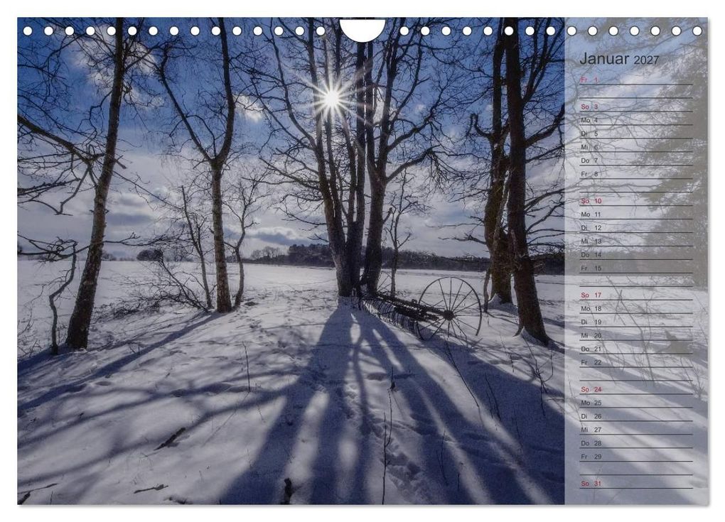 Weitere Ansicht: Unser Wald - Magische Sichten in norddeutsche Wälder / Geburtstagskalender (Wandkalender 2027 DIN A4 quer), CALVENDO Monatskalender | Heike Langenkamp, Calvendo