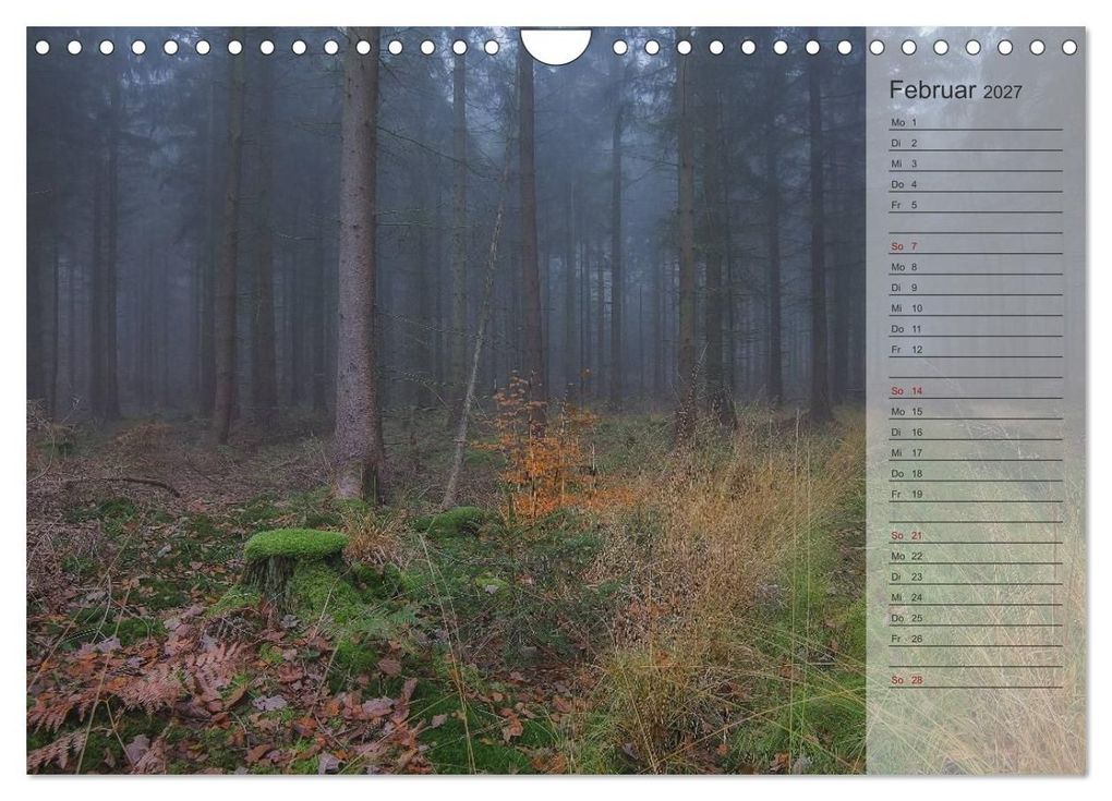 Weitere Ansicht: Unser Wald - Magische Sichten in norddeutsche Wälder / Geburtstagskalender (Wandkalender 2027 DIN A4 quer), CALVENDO Monatskalender | Heike Langenkamp, Calvendo