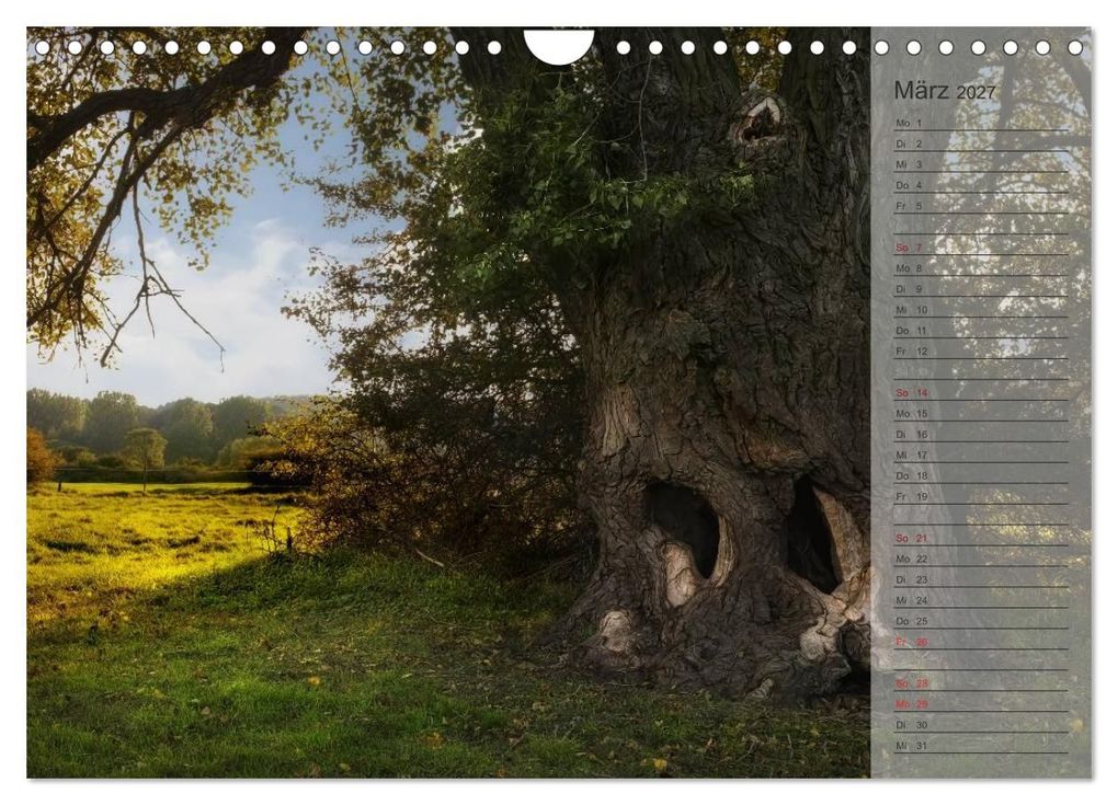 Weitere Ansicht: Unser Wald - Magische Sichten in norddeutsche Wälder / Geburtstagskalender (Wandkalender 2027 DIN A4 quer), CALVENDO Monatskalender | Heike Langenkamp, Calvendo