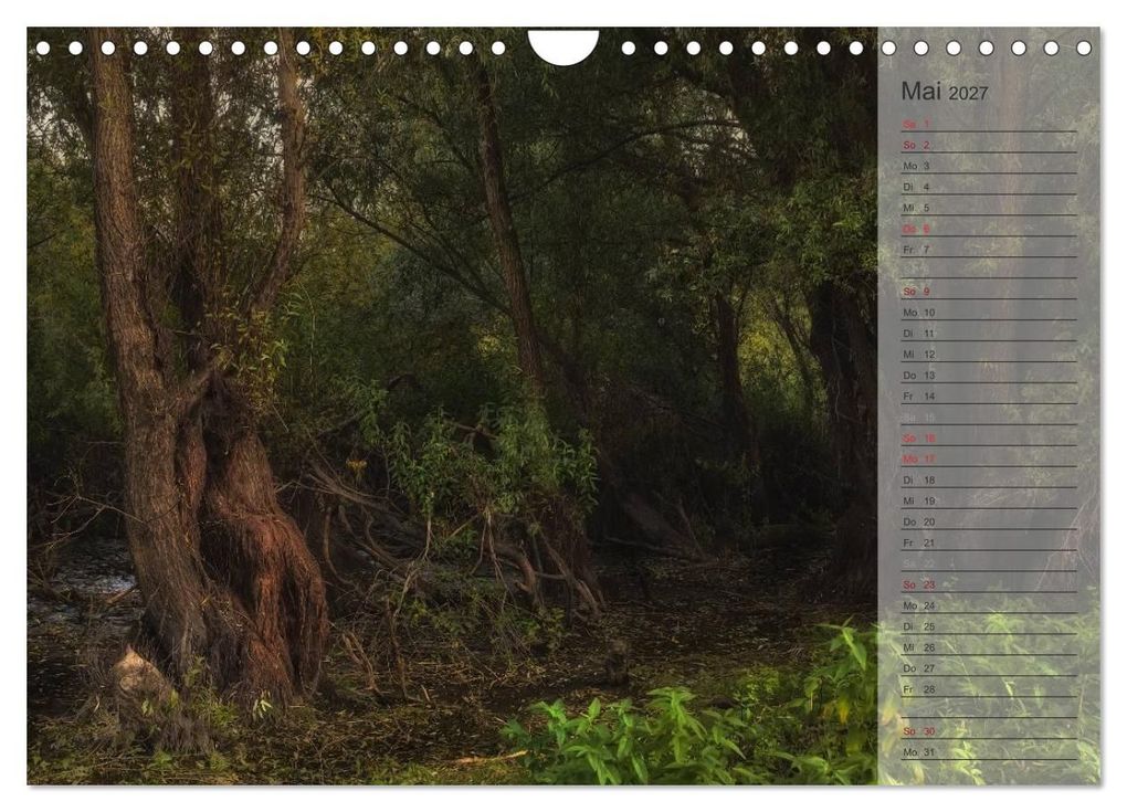 Weitere Ansicht: Unser Wald - Magische Sichten in norddeutsche Wälder / Geburtstagskalender (Wandkalender 2027 DIN A4 quer), CALVENDO Monatskalender | Heike Langenkamp, Calvendo