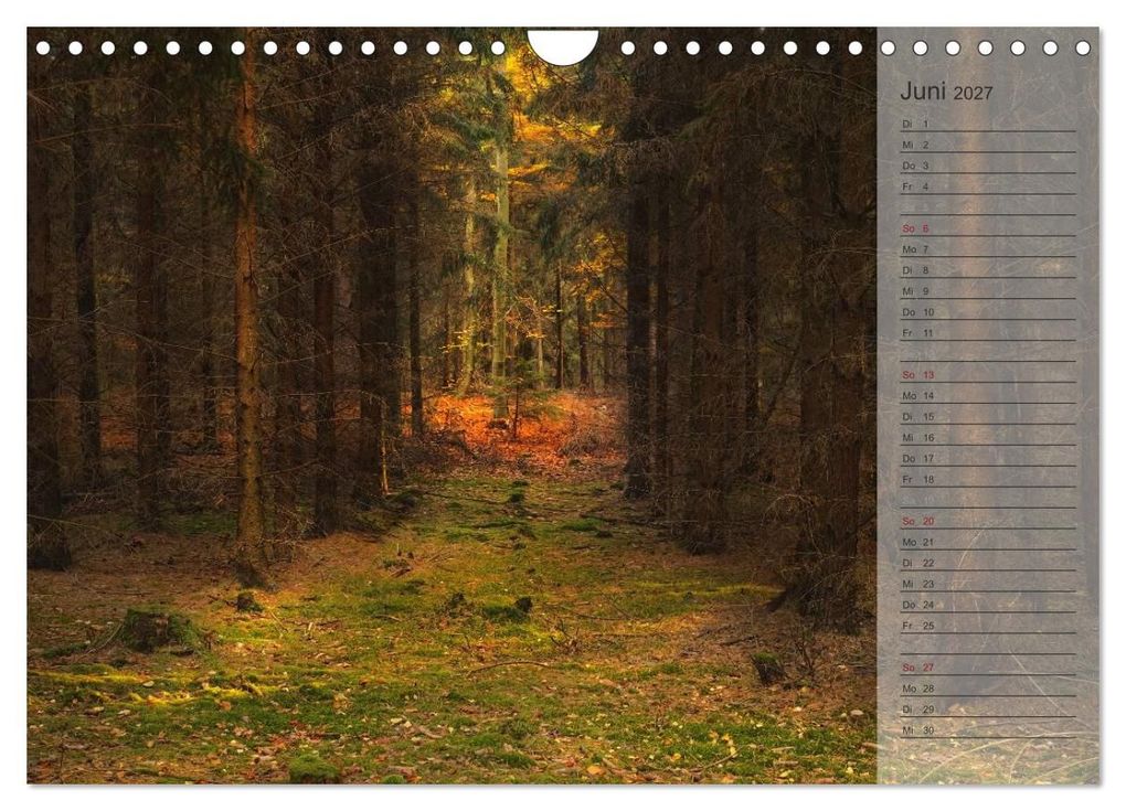 Weitere Ansicht: Unser Wald - Magische Sichten in norddeutsche Wälder / Geburtstagskalender (Wandkalender 2027 DIN A4 quer), CALVENDO Monatskalender | Heike Langenkamp, Calvendo