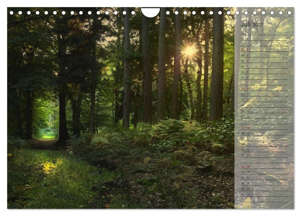 Weitere Ansicht: Unser Wald - Magische Sichten in norddeutsche Wälder / Geburtstagskalender (Wandkalender 2027 DIN A4 quer), CALVENDO Monatskalender | Heike Langenkamp, Calvendo