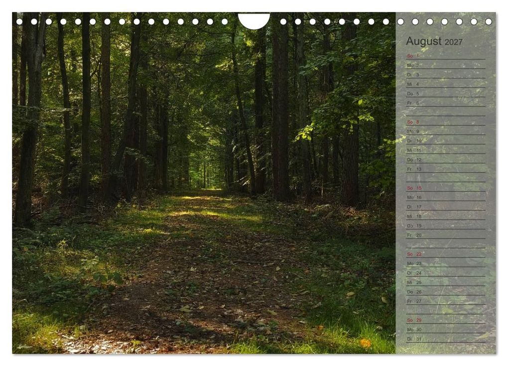 Weitere Ansicht: Unser Wald - Magische Sichten in norddeutsche Wälder / Geburtstagskalender (Wandkalender 2027 DIN A4 quer), CALVENDO Monatskalender | Heike Langenkamp, Calvendo