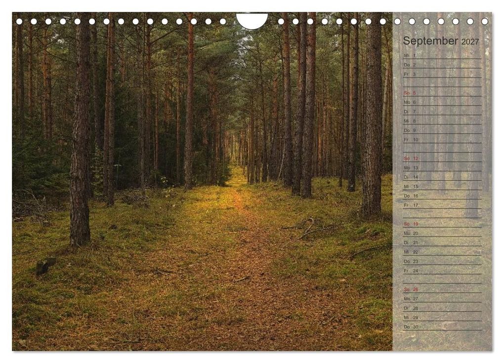 Weitere Ansicht: Unser Wald - Magische Sichten in norddeutsche Wälder / Geburtstagskalender (Wandkalender 2027 DIN A4 quer), CALVENDO Monatskalender | Heike Langenkamp, Calvendo