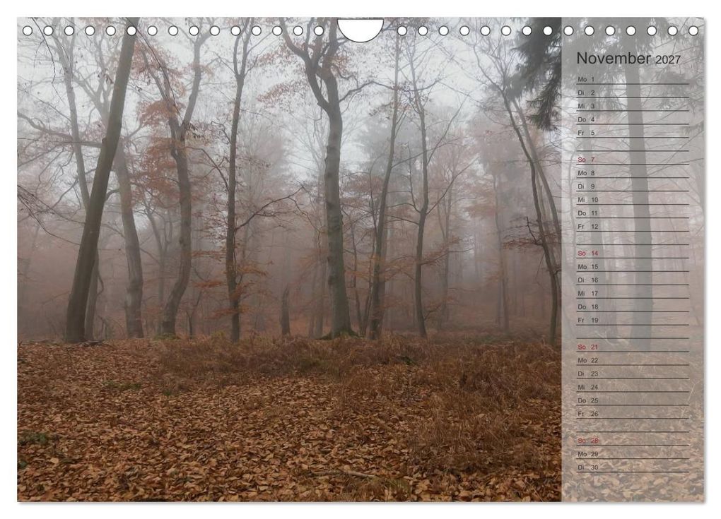 Weitere Ansicht: Unser Wald - Magische Sichten in norddeutsche Wälder / Geburtstagskalender (Wandkalender 2027 DIN A4 quer), CALVENDO Monatskalender | Heike Langenkamp, Calvendo