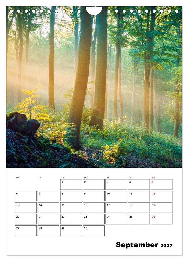 Weitere Ansicht: Usedom - Inseltraum im Norden (Wandkalender 2027 DIN A4 hoch), CALVENDO Monatskalender | Martin Wasilewski, Calvendo