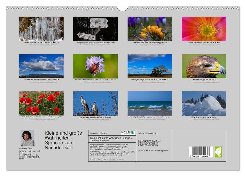 Weitere Ansicht: Kleine und große Wahrheiten - Sprüche zum Nachdenken (Wandkalender 2027 DIN A3 quer), CALVENDO Monatskalender | Ursula Di Chito, Calvendo