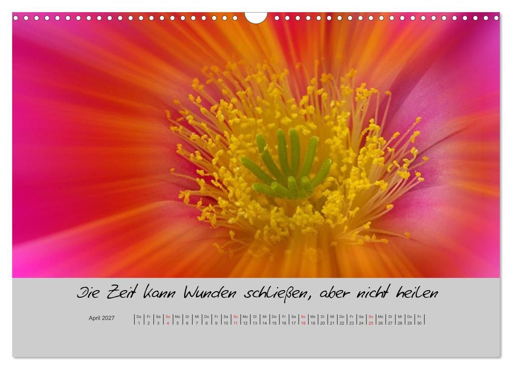 Weitere Ansicht: Kleine und große Wahrheiten - Sprüche zum Nachdenken (Wandkalender 2027 DIN A3 quer), CALVENDO Monatskalender | Ursula Di Chito, Calvendo