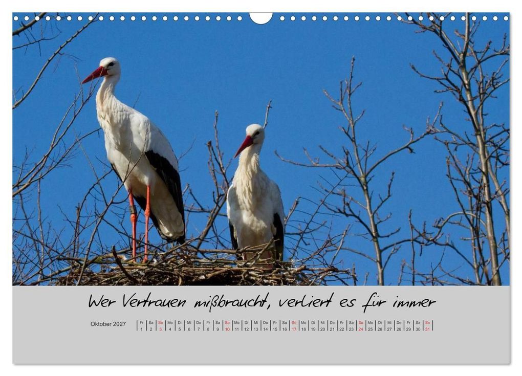 Weitere Ansicht: Kleine und große Wahrheiten - Sprüche zum Nachdenken (Wandkalender 2027 DIN A3 quer), CALVENDO Monatskalender | Ursula Di Chito, Calvendo
