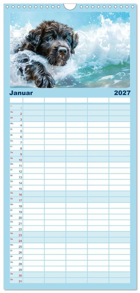 Weitere Ansicht: Familienplaner 2027 - Hunde und Wasser mit 5 Spalten (Wandkalender, 21 x 45 cm) CALVENDO | Daniela Tapper, Calvendo
