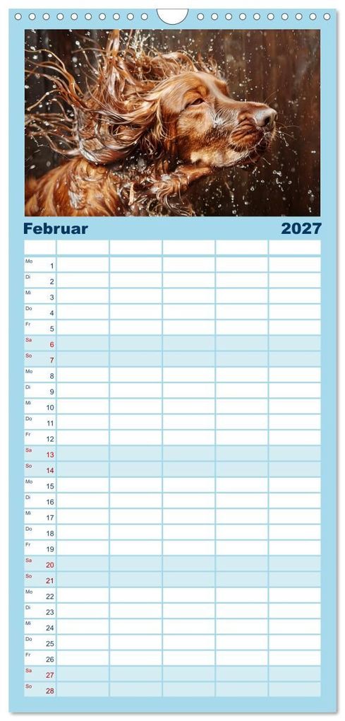 Weitere Ansicht: Familienplaner 2027 - Hunde und Wasser mit 5 Spalten (Wandkalender, 21 x 45 cm) CALVENDO | Daniela Tapper, Calvendo